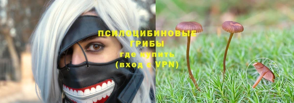мдма Гусиноозёрск