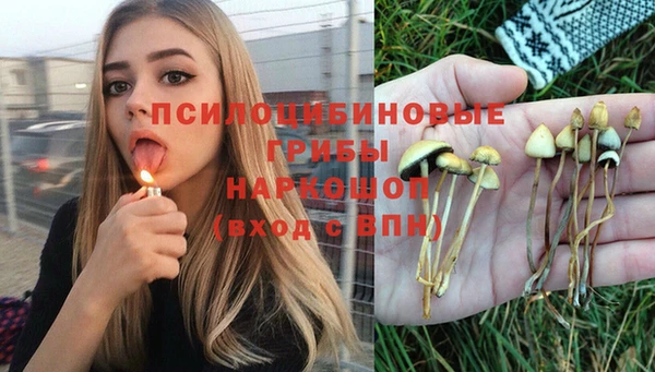 скорость Гусев