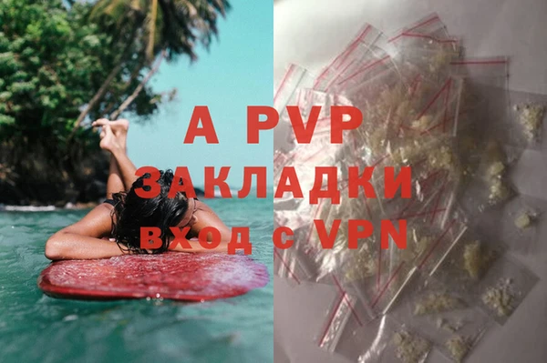 спайс Осинники