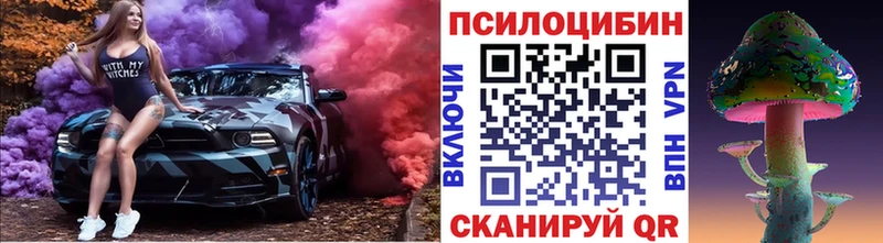 Псилоцибиновые грибы MAGIC MUSHROOMS  наркошоп  omg ССЫЛКА  Кохма 